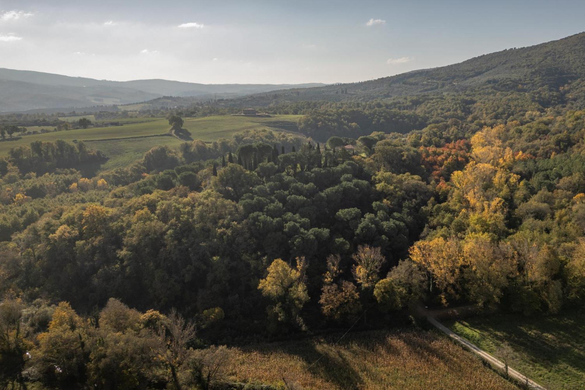 Tenuta Di Caiolo Panicale Eksteriør bilde